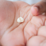 子供の抜けた乳歯の写真